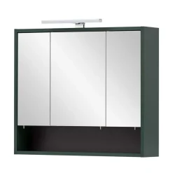 Outlet Wohnen Bad Spiegelschrank in Dunkelgrün - Aqua