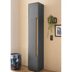 Discount Wohnen Badezimmer Hochschrank in Anthrazit - Ahilav