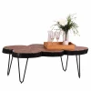 New Wohnen Baumscheiben Couchtisch Lariona mit Metall-Gestell