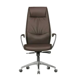 Wohnen Büro Schreibtischsessel in Braun Leder - Mallavi