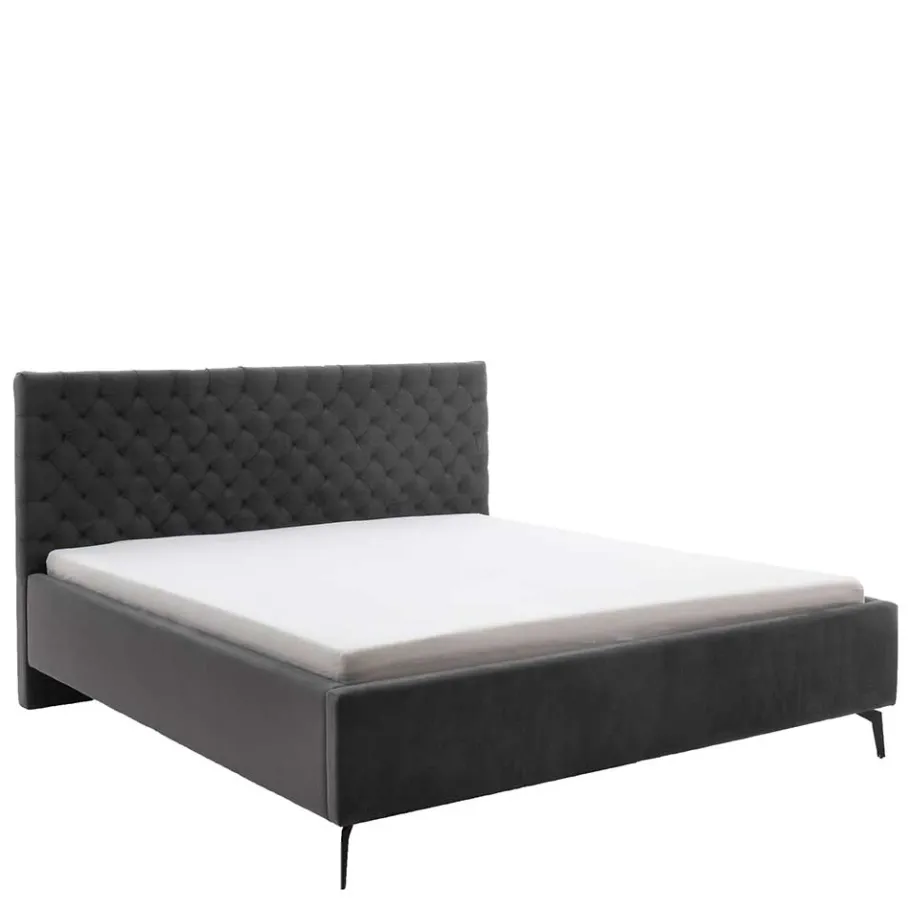 Online Wohnen Chesterfield Samtbett in Anthrazit - Satos