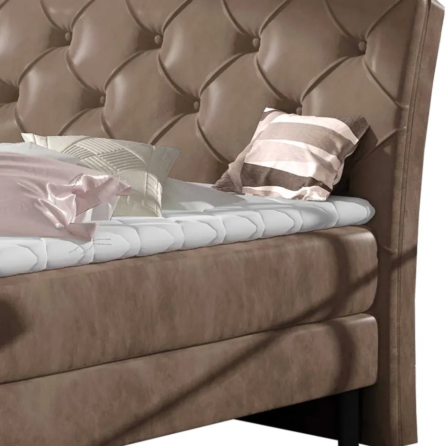 Online Wohnen Chesterfield Samtbett in Hellbraun - Trenta