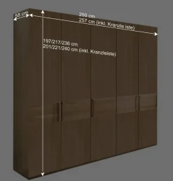 Sale Wohnen 250cm Schlafzimmer Kleiderschrank mit 5 Türen - Emdsiva