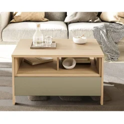 Clearance Wohnen Couchtisch in Eukalyptus und Eiche Optik - Promo