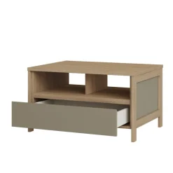Clearance Wohnen Couchtisch in Eukalyptus und Eiche Optik - Promo