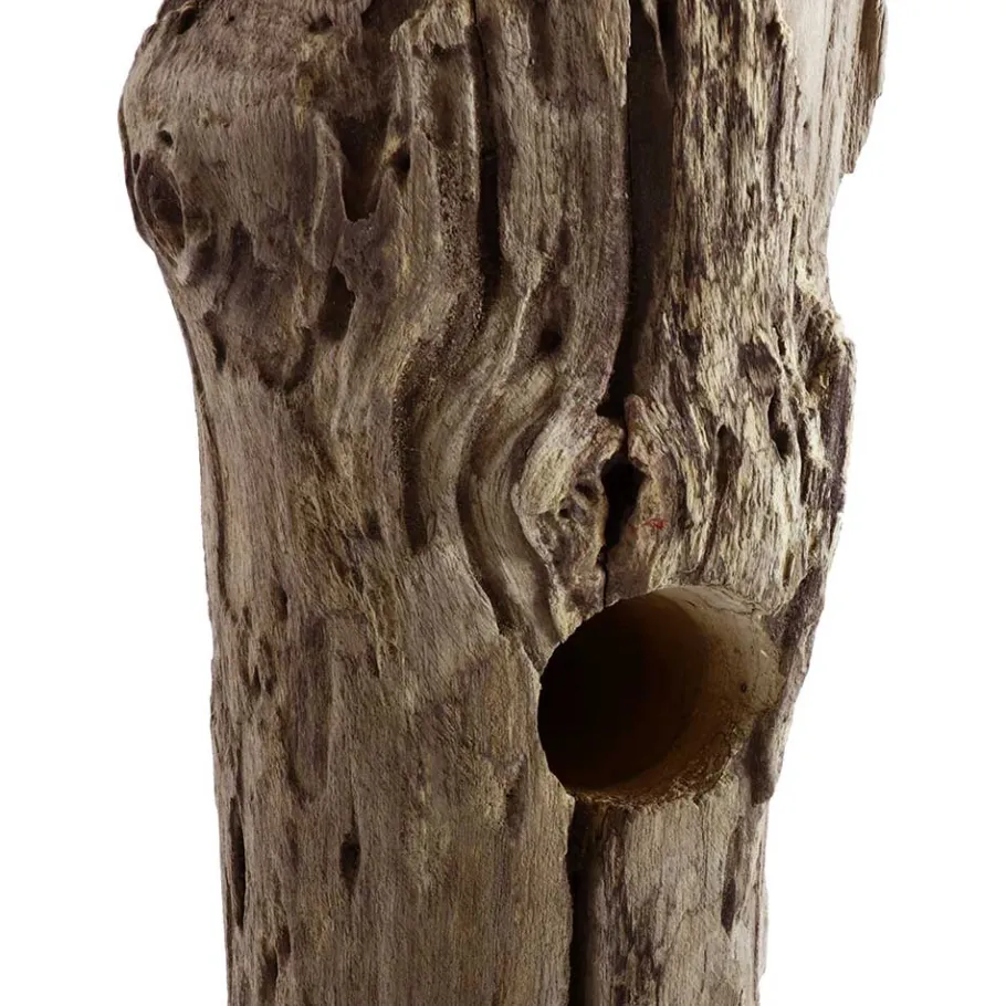 Best Wohnen Design Weinregal aus Holzstamm Teak massiv - Teako