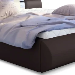 New Wohnen Designbett in Dunkelbraun mit Creme - Dyronna