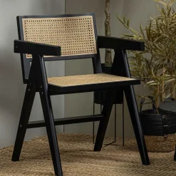 New Wohnen Designer Armlehnenstuhl aus Rattan Wiener Geflecht - Leano