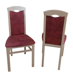 Wohnen Esszimmerstuhl in Cognac Vintage Yuri & Buchefarben (2er Set)