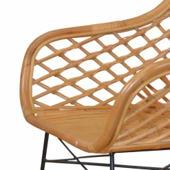 New Wohnen Esszimmerstuhl Ionella aus Rattan