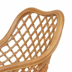 New Wohnen Esszimmerstuhl Ionella aus Rattan