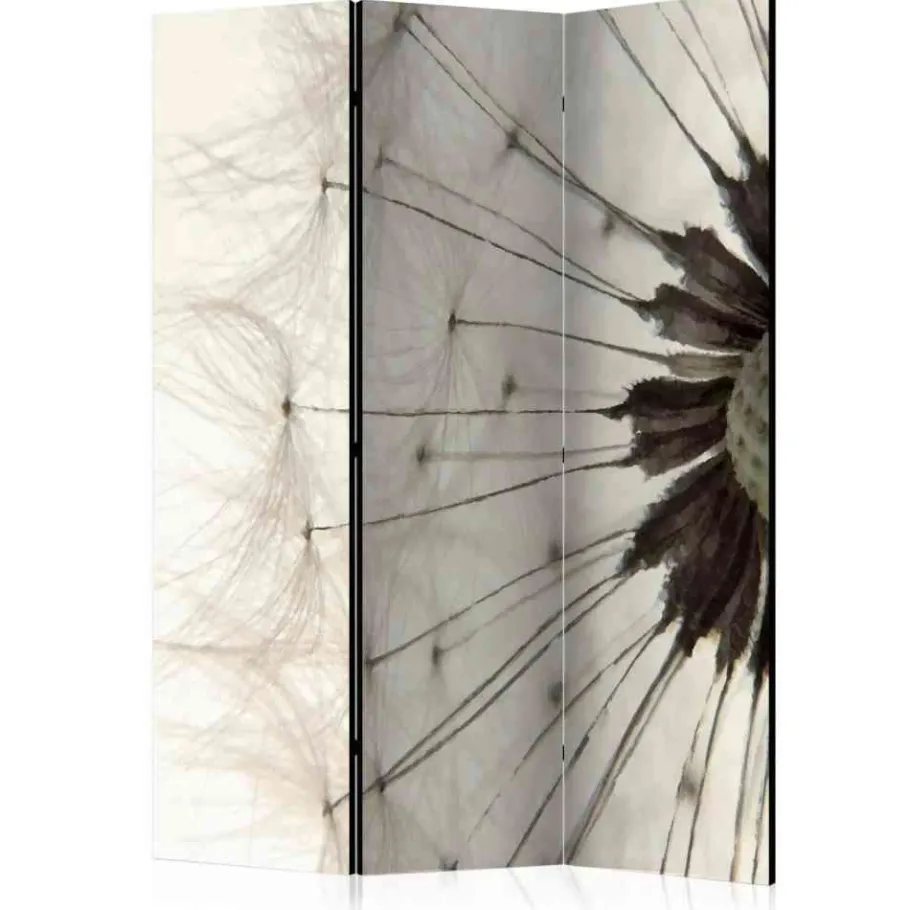 Sale Wohnen Foto Trennwand Nahaufnahme Pusteblume - Apulca