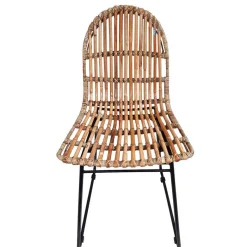 Hot Wohnen Geflechtstuhl aus Rattan - Larcella (2er Set)