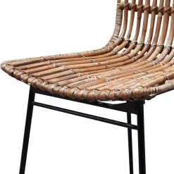 Hot Wohnen Geflechtstuhl aus Rattan - Larcella (2er Set)
