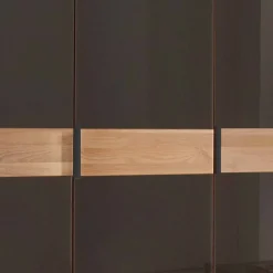Clearance Wohnen Glasfront-Kleiderschrank mit fünf Türen - Hung