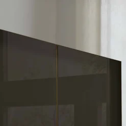 Clearance Wohnen Glasfront-Schlafzimmerschrank in Dunkelbraun - Hung