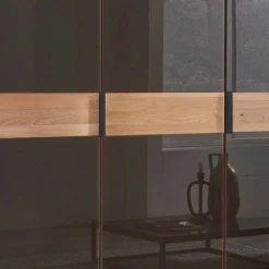 Clearance Wohnen Glasfront-Schlafzimmerschrank in Dunkelbraun - Hung