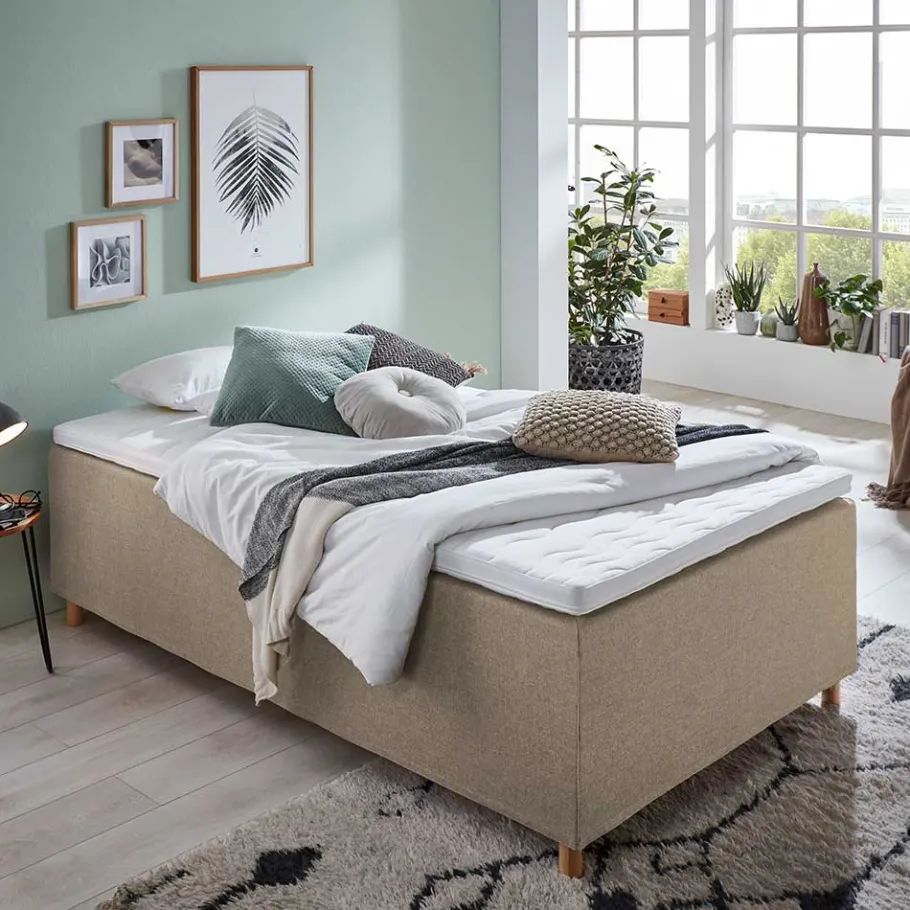 Clearance Wohnen H3 Polsterbett in Creme & Natur - Suvanica