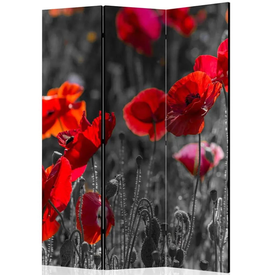 Clearance Wohnen Mobiler Foto Raumtrenner mit Mohn Blumen Motiv - Conwy