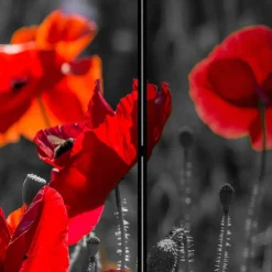 Clearance Wohnen Mobiler Foto Raumtrenner mit Mohn Blumen Motiv - Conwy