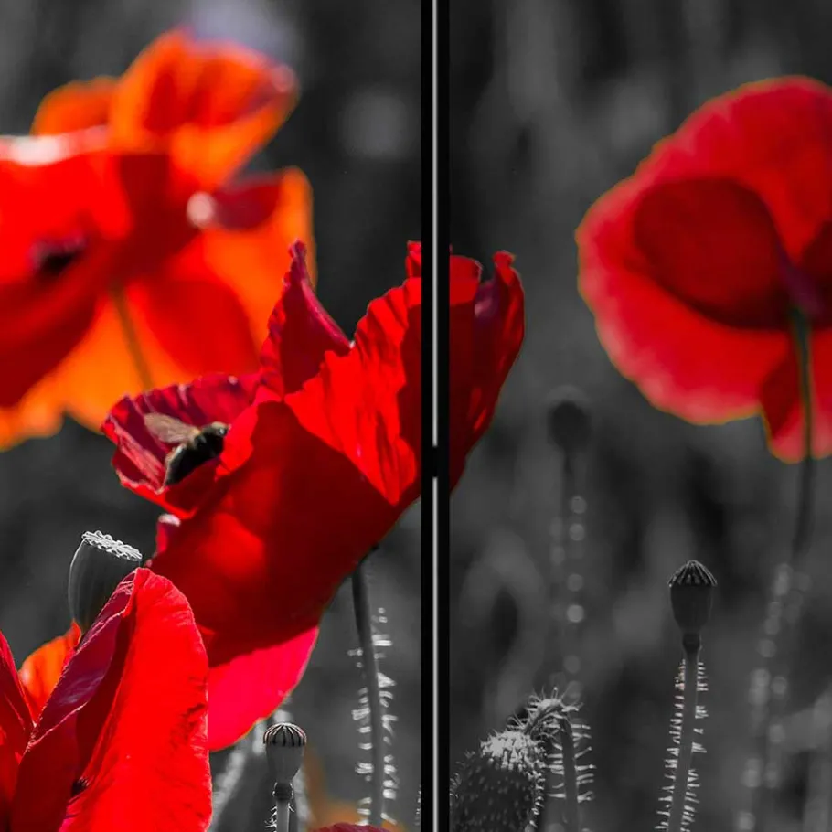 Clearance Wohnen Mobiler Foto Raumtrenner mit Mohn Blumen Motiv - Conwy
