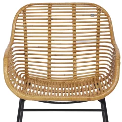 Best Wohnen Moderner Flechtstuhl aus Rattan - Rubertus (2er Set)