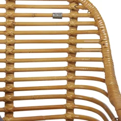 Best Wohnen Moderner Flechtstuhl aus Rattan - Rubertus (2er Set)
