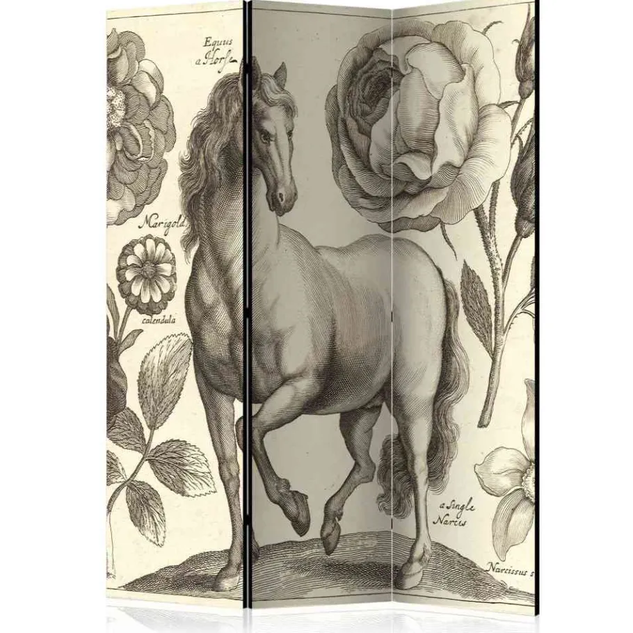 Wohnen Nostalgie Paravent Pferd & Blumen - Ilea