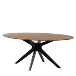 New Wohnen Ovaler Retro Design Tisch in Walnuss & Schwarz - Botan