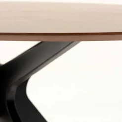 New Wohnen Ovaler Retro Design Tisch in Walnuss & Schwarz - Botan