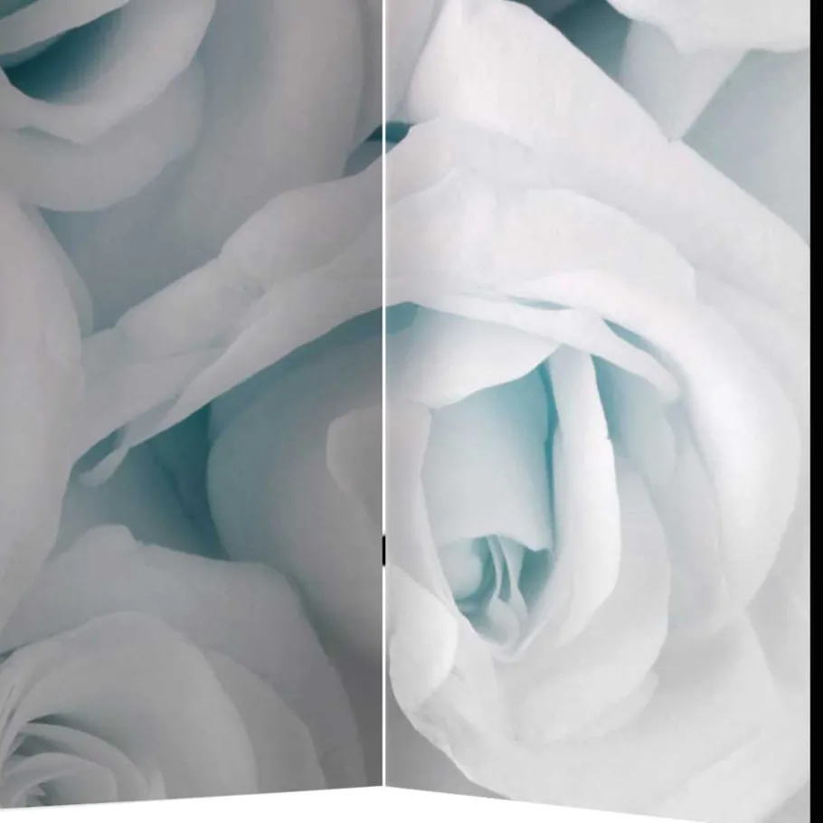 Best Wohnen Paravent mit Rosen Motiv bedruckt - Vientors