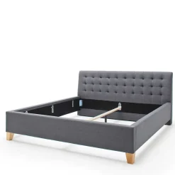 New Wohnen Polsterbett in Grau & Eiche - Saludio