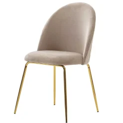 Hot Wohnen Polsterstühle in Beige & Gold - Labelsio (2er Set)