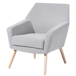 Discount Wohnen Retro Sessel in Silbergrau Velours - Desaros