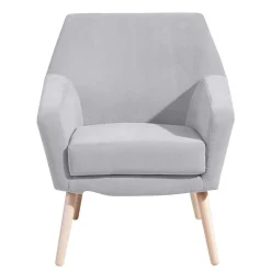 Discount Wohnen Retro Sessel in Silbergrau Velours - Desaros
