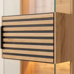 Clearance Wohnen Schmale Massivholz Vitrine mit LED Beleuchtung - Eribella