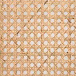 Hot Wohnen Schwarzer Stühle mit Rattan - Racer (2er Set)