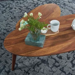 Online Wohnen Sheesham Couchtisch Duo oval - Anroca (zweiteilig)