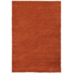 Hot Wohnen Teppich in Terracotta - Asutria