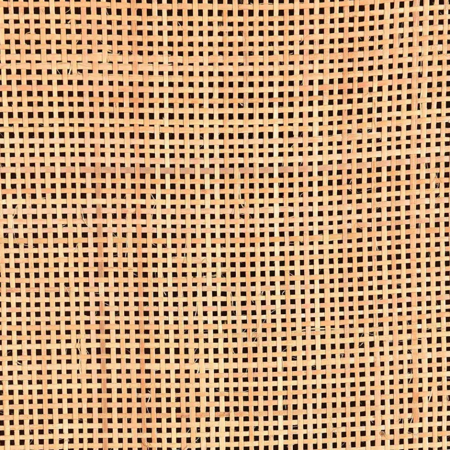 Best Wohnen 2-türiger Flurschrank aus Holz & Rattan Geflecht - Lazianus