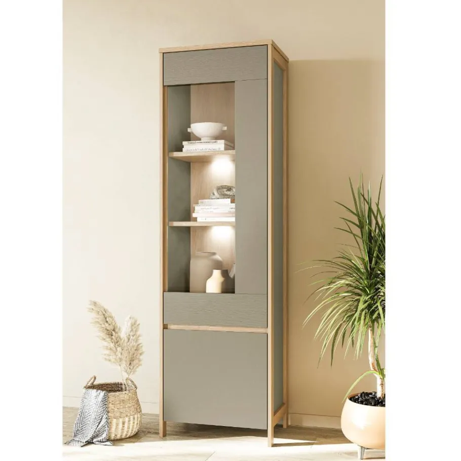 New Wohnen Vitrine in Eukalyptus und Eiche Optik - Promo