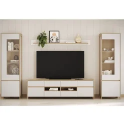 Discount Wohnen Wohnzimmer-Wohnwand Set - Ovidio (vierteilig)