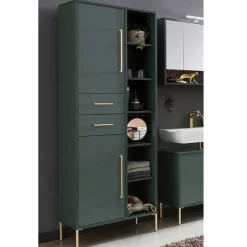New Wohnen 67x184x33 Bad Hochschrank in Dunkelgrün & Gold - Aqua
