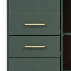New Wohnen 67x184x33 Bad Hochschrank in Dunkelgrün & Gold - Aqua