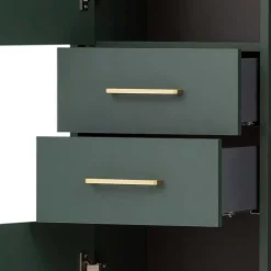 New Wohnen 67x184x33 Bad Hochschrank in Dunkelgrün & Gold - Aqua