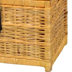 Best Wohnen 58x44x45 Couchtisch Truhe aus Rattan Geflecht - Valnut