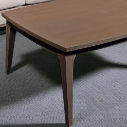 Sale Wohnen 120x47x80 Retro Couchtisch in Braun - Sasmia