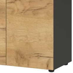 Hot Wohnen 80x197x40 2-türiger Aktenschrank in Wildeiche Optik - Contrage