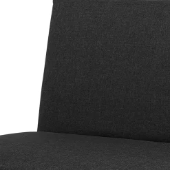 Online Wohnen Zweisitzer Faltsofa in Schwarz - Lardias